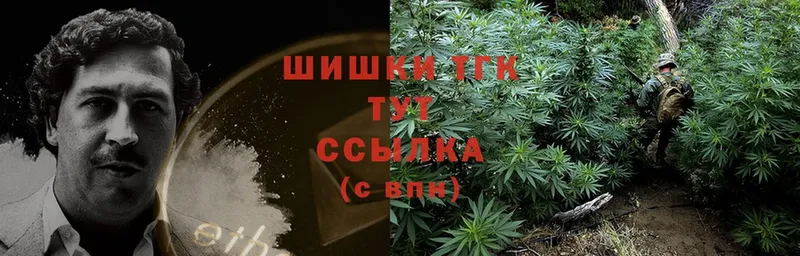 дарнет шоп  Нефтекумск  Марихуана OG Kush 